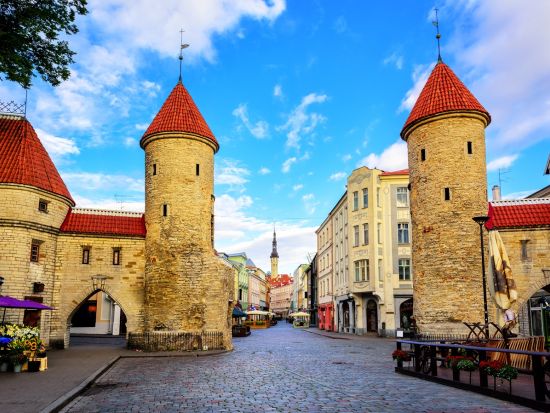 【港送迎】タリン港⇔タリン市内＜貸切／英語ドライバー＞