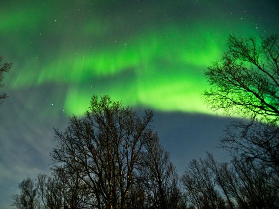 【空港送迎】トロムソ空港⇔トロムソ市内ホテル＜貸切／英語ドライバー＞