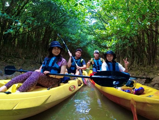 【1組貸切】マングローブカヤック・シーカヤック体験 2つのアクティビティが楽しめる！＜6歳以上／動画・写真撮影無料／やんばる（東村）＞