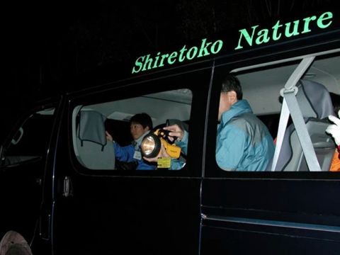知床　夜の動物ウォッチング　エゾシカ・キタキツネなど野生動物を観察＜4～11月／送迎付／ウトロ発＞by 知床ネイチャーオフィス 