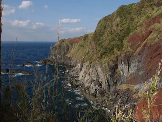 嵯峨島トレッキングツアー 日本の秘境百選に指定の火山島で歴史や自然に触れる半日 ＜福江島発・五島市＞ by アクロス五島