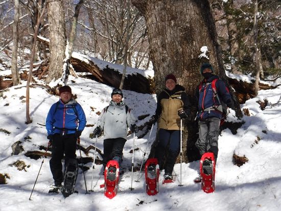 マザーツリーの前で記念撮影