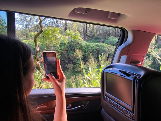 Back Passenger Cadillac 2