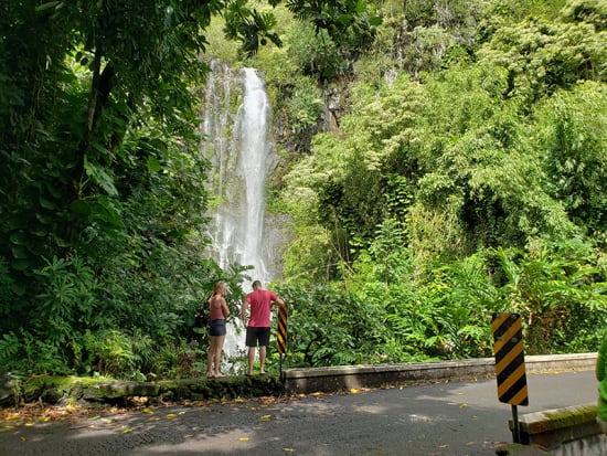 Wailua Falls 5