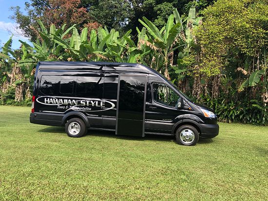 Hawaiian Style Platinum Minibus 1