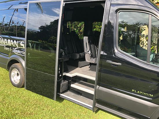 Platinum Minnibus Entry Way