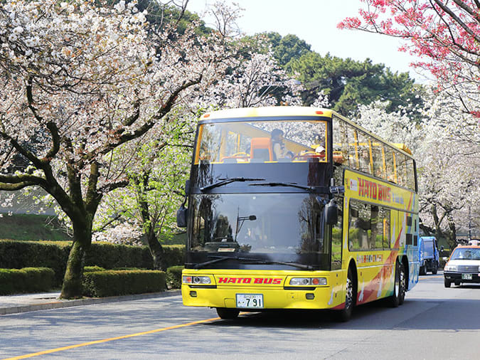 はとバス【２階建てオープンバス】東京さくら回廊＜1名～催行確定