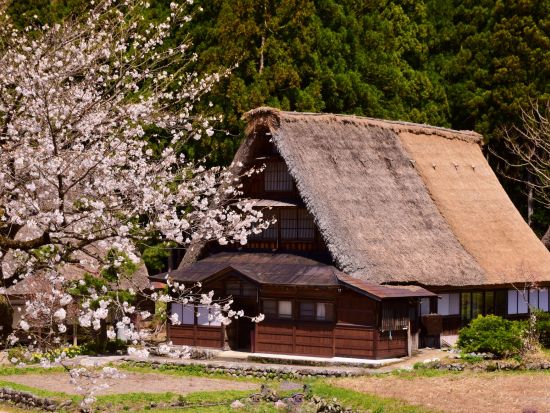 貸切観光タクシー 世界遺産・五箇山 合掌造り集落＋越中の小京都・城端を巡る＜4時間／1～9名／金沢発着＞