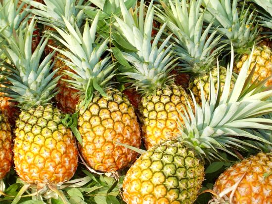 アフリカの真珠！ウガンダの周遊ツアーで美しい自然と野生動物に出会おう＜5泊6日／英語／エンテベ空港発着＞