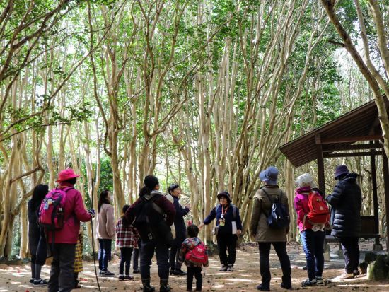 萩ジオパーク 笠山ジオガイドツアー！標高112ｍの小さな火山を探索しよう＜午前・午後／1.5時間／萩市＞by 萩ジオパーク推進協議会