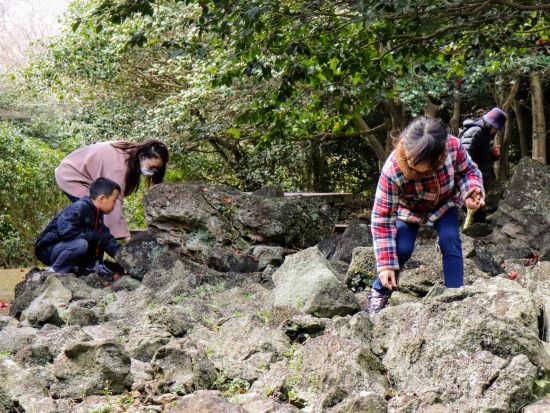 萩ジオパーク 笠山ジオガイドツアー！標高112ｍの小さな火山を探索しよう＜午前・午後／1.5時間／萩市＞by 萩ジオパーク推進協議会