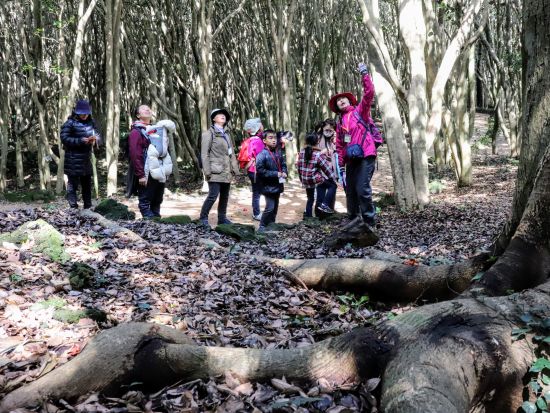 萩ジオパーク 笠山ジオガイドツアー！標高112ｍの小さな火山を探索しよう＜午前・午後／1.5時間／萩市＞by 萩ジオパーク推進協議会