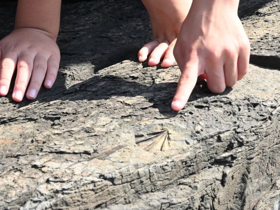 萩ジオパーク 須佐ホルンフェルス ジオガイドツアー！マグマの熱の影響を受けて誕生した断層を観察しよう＜午前・午後／1時間／萩市＞by 萩ジオパーク推進協議会