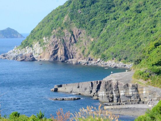 萩ジオパーク 須佐ホルンフェルス ジオガイドツアー！マグマの熱の影響を受けて誕生した断層を観察しよう＜午前・午後／1時間／萩市＞by 萩ジオパーク推進協議会