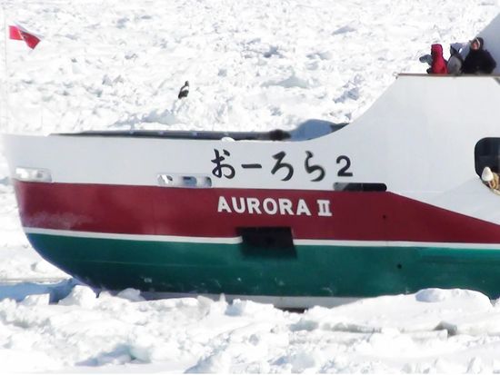 20220119085855_1632739425_14997_0