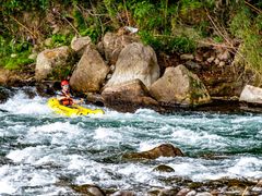 IMG_0835