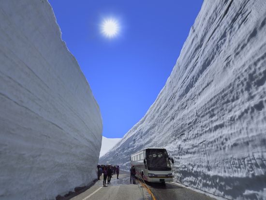 雪の大谷直行日帰りバスツアー(増便)＜弁当付／5月限定／富山駅発着＞