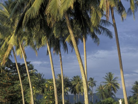 ランカウイ島内さくっと半日観光ツアー＜午前／昼食付／ランカウイ発＞