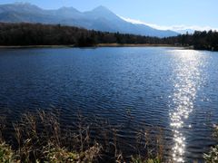 pixta_36861089_M