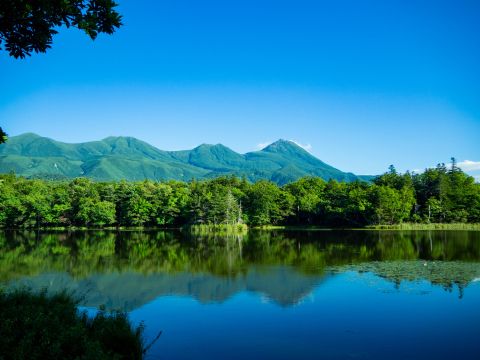 知床五湖一周ウォーキングツアー　知床五湖をネイチャーガイドがご案内【前日18時までリクエスト可能】＜4～11月／半日／斜里町ウトロ地区送迎可＞byピッキオ