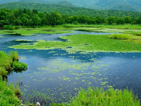 pixta_67088788_M 湖畔展望台から 一湖