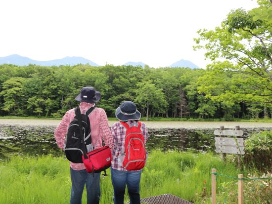 知床五湖一周ウォーキングツアー　知床五湖をネイチャーガイドがご案内【前日18時までリクエスト可能】＜4～11月／半日／斜里町ウトロ地区送迎可＞byピッキオ