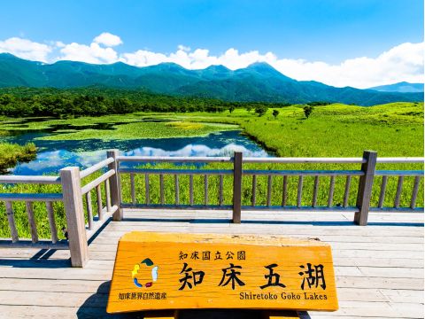 知床五湖一周ウォーキングツアー　知床五湖をネイチャーガイドがご案内【前日18時までリクエスト可能】＜4～11月／半日／斜里町ウトロ地区送迎可＞byピッキオ