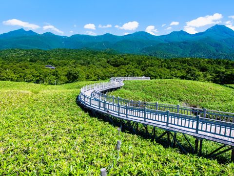 知床五湖一周ウォーキングツアー　知床五湖をネイチャーガイドがご案内【前日18時までリクエスト可能】＜4～11月／半日／斜里町ウトロ地区送迎可＞byピッキオ