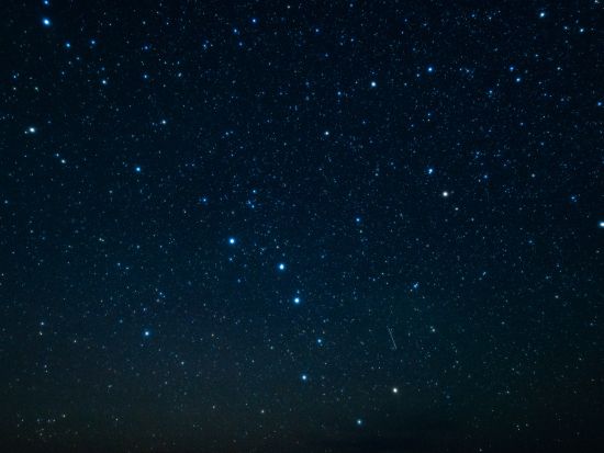 【3月下旬～9月末 月金土 限定】星空観測＆夜の森探索ナイトツアー　ニュートン式反射望遠鏡で観察！光るキノコや夜行性小生物観察も！ by キャノッピ屋久島