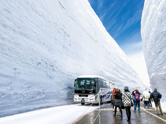 富山発着日帰りバスツアー ライチョウ発見ピクニック付！立山黒部アルペンルート・雪の大谷ウォーク直行バス（またはケーブルカー）＋自然解説員同行＜4～5月／昼食付＞