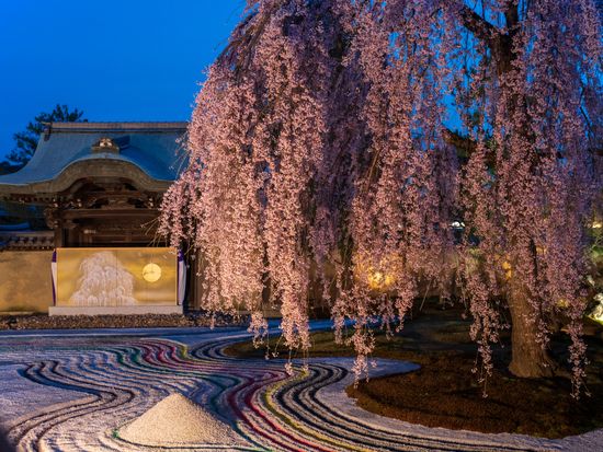 Japan_Kyoto_koudaiji_pixta_74964273