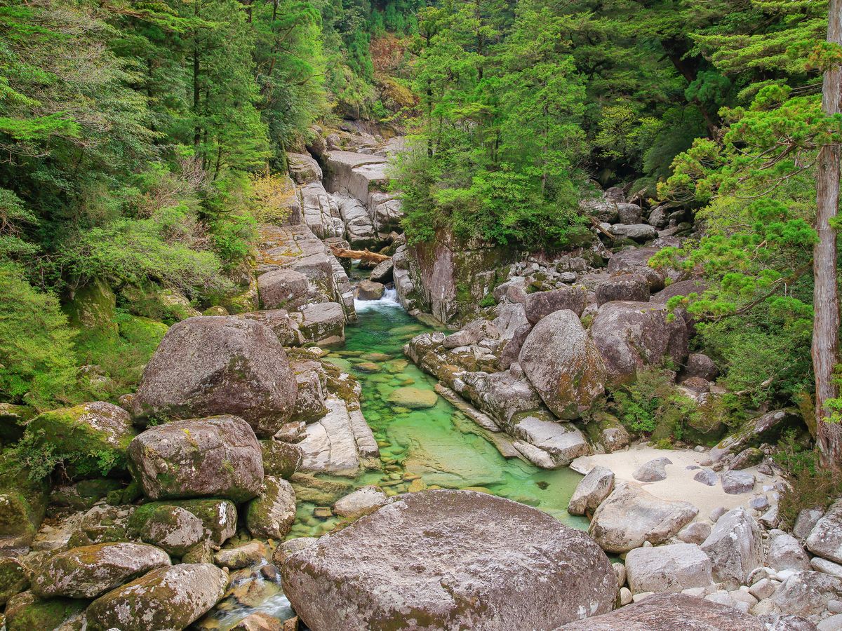 貸切可能 | 屋久島 旅行の観光・オプショナルツアー予約 VELTRA