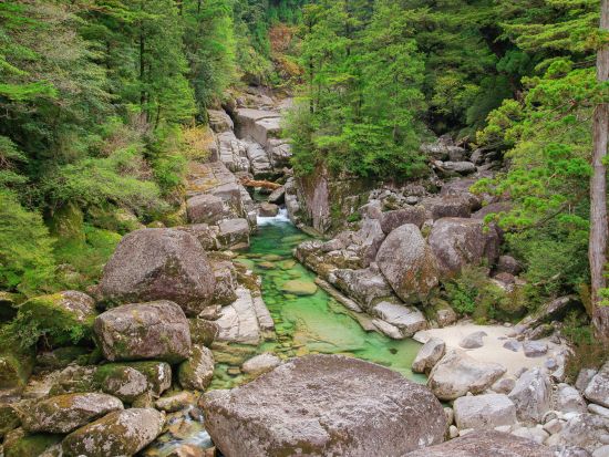 ヤクスギランドトレッキング＆リバーカヤック 1日ツアー　屋久島公認ガイド 田脇さんがご案内　島内全域送迎可能　1名参加OK　by ショアーズ