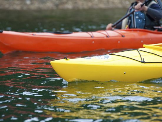半日リバーカヤックツアー　屋久島公認ガイド田脇さんがご案内　安房川から豊かな屋久島の自然の循環を体感　6歳～参加可能　by ショアーズ