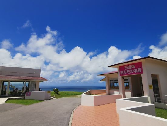 EVトライクツアー　専属ガイドがご案内！電動三輪バイクを運転して観光スポットめぐり＜送迎可／石垣島＞ by EVOLRIDE