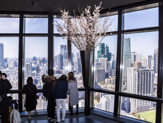 東京タワー メインデッキ（150m）入場チケット ＋東京タワーバンジーVR体験事前予約 ＜土日祝＞