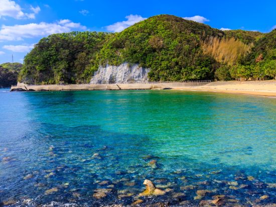 SUP体験ツアー　リアス式海岸の海をSUPでお散歩気分 午前・午後の選べるツアー時間＜半日＞