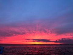 IMG_1203