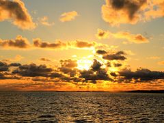 IMG_1304