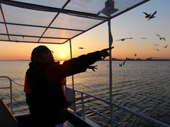 IMG_4442