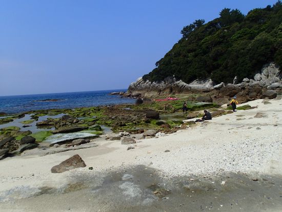 シーカヤック1日ツアー  屋久島公認ガイド 田脇さんがご案内　シュノーケリングやティータイムを楽しめる自由時間もあり by ショアーズ