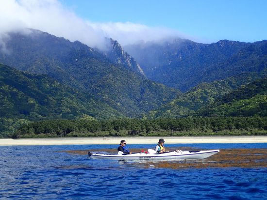 屋久島シーカヤック半日ツアー 屋久島公認ガイド 田脇さんがご案内 その日の最適なロケーションでツーリング by ショアーズ