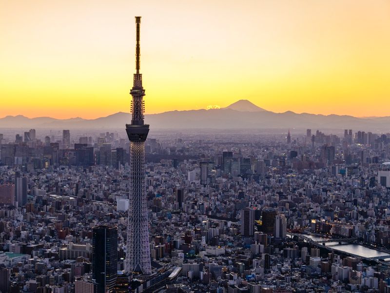 20200803051226_81266877_15025_0