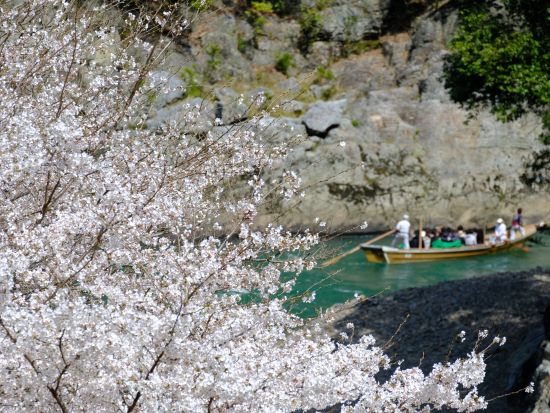 【多言語バスツアー】トロッコ列車と保津川下り バスツアー 並ばずスムーズに乗船＆乗車！嵐山散策も＜英・中・韓音声ガイド＞by おこしバス（京都定期観光バス）