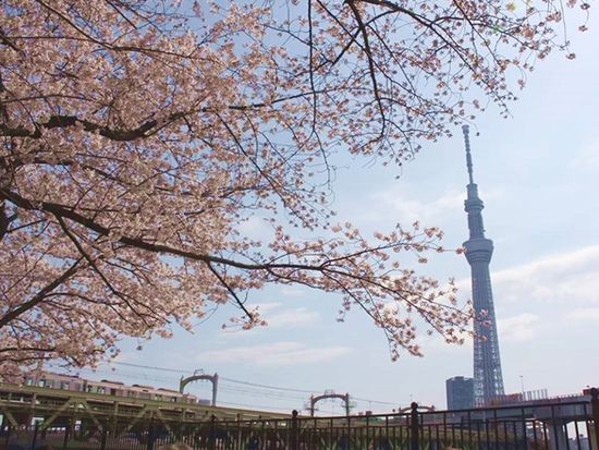 FB_IMG_1578576071194