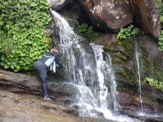 マヤグスクの滝トレッキングツアー　西表島の中でも上位を争う秘境スポット！＜10～5月／上原港または西部地区ホテル無料送迎／西表島＞