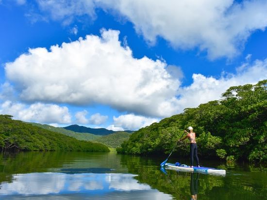 veltraSUP&繧ｱ繧吶・繧ｿ繧呎ｻ拿_DSC0089