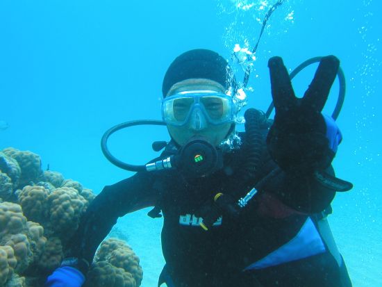 体験ダイビング&ホエールウォッチング  人気2アクティビティを1日で♪＜1～3月／名瀬・龍郷町送迎可＞ by 奄美大島ダイビングエンドレスブルー