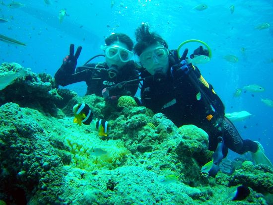 体験ダイビング&ホエールウォッチング  人気2アクティビティを1日で♪＜1～3月／名瀬・龍郷町送迎可＞ by 奄美大島ダイビングエンドレスブルー