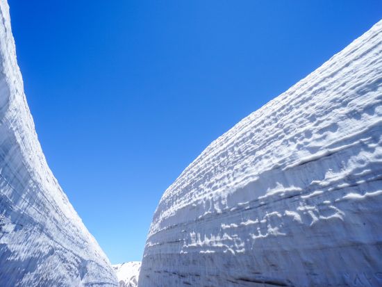 北アルプス立山雪の大谷へ行く日帰りバスツアー！ たっぷり4時間半フリータイム＜5月4日、18日／金沢発着＞